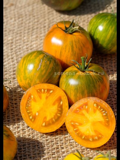 Томат Dwarf Jeremy's Stripes (Гном Джереми Полосатый), 10 шт