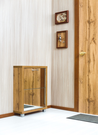 Обувница Айрон-2 (фасад Зеркало)