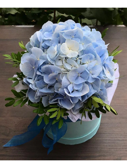 Гортензия в шляпной коробке (цвет на выбор)