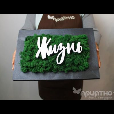 ЖИВАЯ ЭКО-КАРТИНА 1049