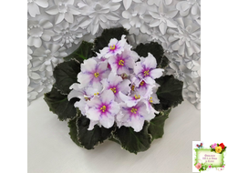 Dn-Love Time (Д. Денисенко) 2021 г.