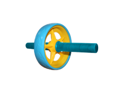 Ролик гимнастмческий Absolute Champion