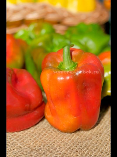 Перец сладкий Громозека БУФ, 10 шт