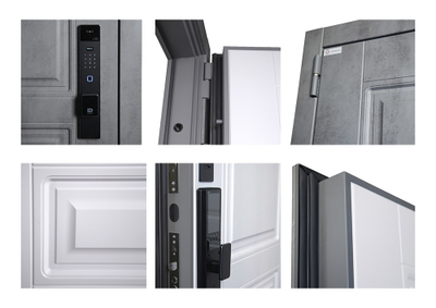 Стальная дверь   Лира (биометрический замок Smart lock K06)