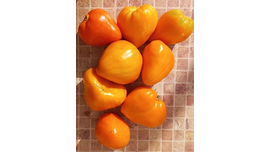 Желтый клюв