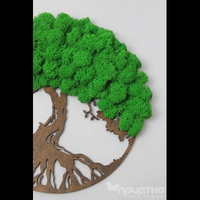 ЖИВАЯ ЭКО-КАРТИНА 1025