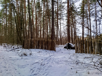 Экскурсия "Зубры, выхухоль и старая усадьба"