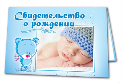 Папка "Свидетельство о рождении", МИКС (старый формат)