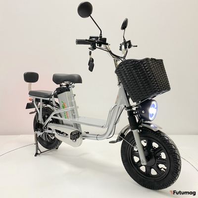 Электровелосипед GreenCamel Транк Монстр (R16FAT 800W 48V15Ah) гидравл. тормоз