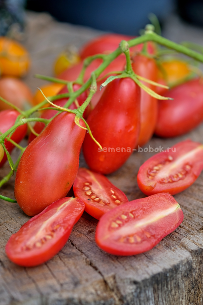 Томат Покоритель Неба (Himmelsturmer), 10 шт