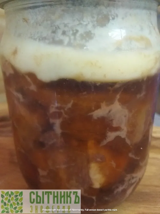 Тушенка домашняя из говядины натуральная