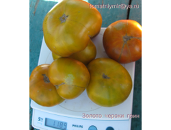 Томат  Золото Cherocee Green (Золото Чероки грин)