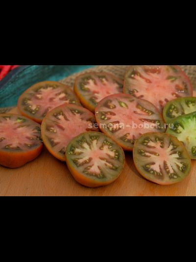 Томат Dwarf Chocolate Champion (Гном Шоколадный Чемпион), 10 шт