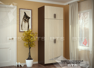 Шкаф 2 дверный с перегородкой венге/лоредо