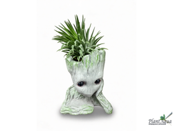 Грот "Фигурка малыш Грут" 10x7x14 см