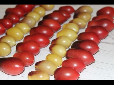 Märchenfee (Сказочная фея)