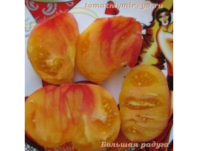 Томат Большая радуга (Big Rainbow, США)