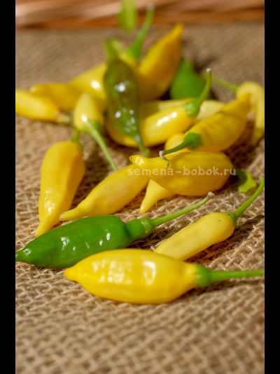 Перец острый Aji Lemon Drop (Ахи Лемон Дроп), 10 шт