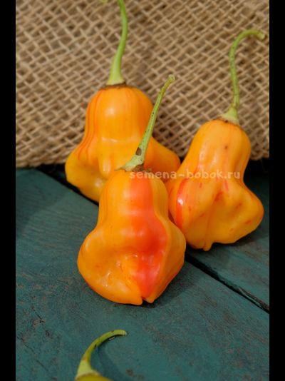 Перец острый Zebrange (Зебранж), 10 шт