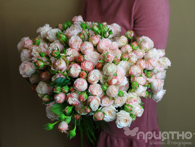 БУКЕТ МОНО ЦВЕТОВ № 443