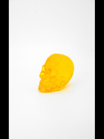 Череп большой