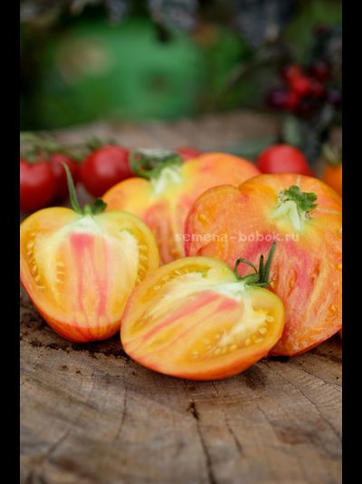 Томат VT-16 Желтый, 10 шт