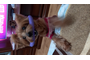 20260419_132102.jpg