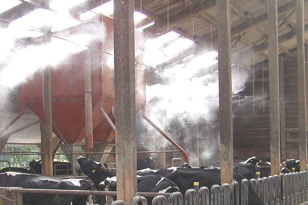 Туманообразование в животноводстве