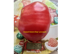 Томат Новый Кенигсберг розовый