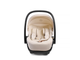Автокресло 0-13 кг Peppy Verona Beige