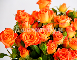 "Цветные Сны" - композиция из хризантем и роз