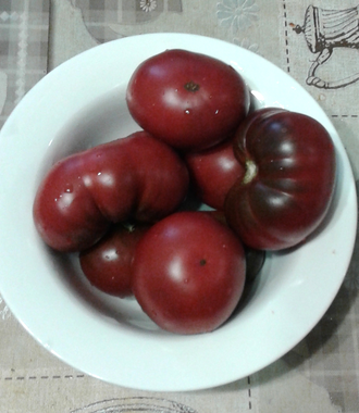 Семена томата Моруно де Мадрид