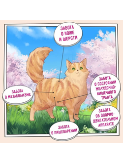 ZILLII Hairball Control корм  для Кошек контроль образования комочков шерсти , Индейка и Утка 2 кг