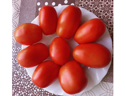 Томат Пир на весь мир