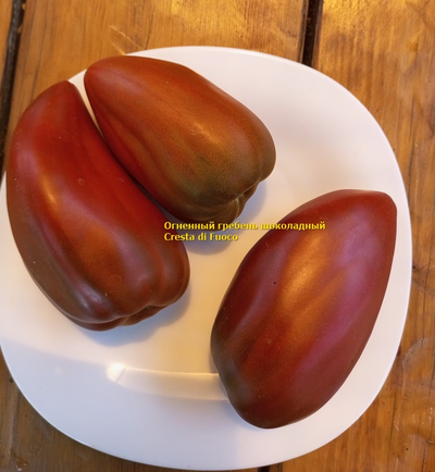 Томат Огненный гребень (Cresta di Fuoco) шоколадный, Италия