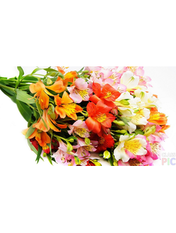 Букет№10  11 альстрмерий