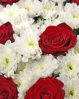 Яркий букет из 17 красных роз и 6 белых хризантем