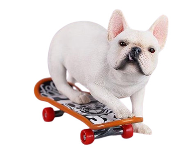 Французский бульдог на скейте (белый) - Коллекционная фигурка 1/6 Skateboard French Bulldog (JXK243A) - JXK
