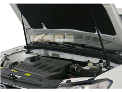 Амортизаторы капота, 2 шт. АвтоУпор для Lifan Solano II 2016-