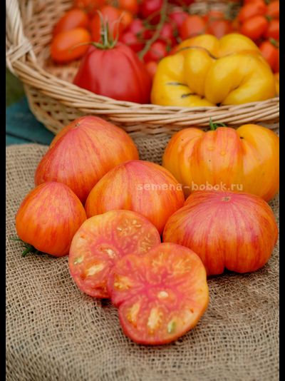 Томат Огненный Поцелуй Биколор с носиком, 10 шт