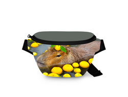 Поясная сумка Капибара, Kapibara-san №14