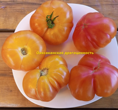 Томат Оаксаканская драгоценность (Oaxacan Jewel)