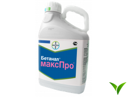 Бетанал максПро МД 5 л