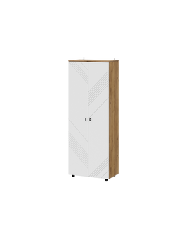 Байкал Шкаф двухстворчатый комбинированный SAFE Дуб Золотой/Белый матовый