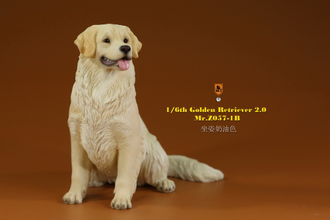 Белый ретривер (сидящий) - Коллекционная ФИГУРКА 1/6 scale Animal Model Golden Retriever 2.0 (MRZ057-1B) - Mr.Z