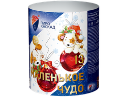 Маленькое чудо (13/0,8)