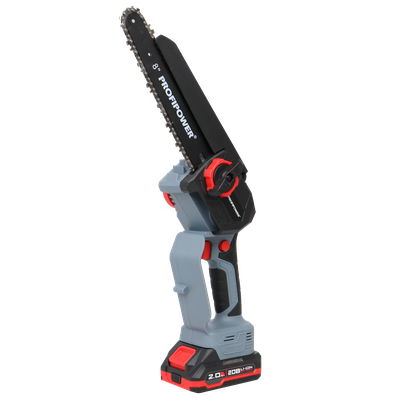 Аккумуляторный бесщеточный НАБОР 2в1 PROFIPOWER ProfiSet-2D20