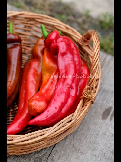 Перец сладкий Палермо Красный, 10 шт