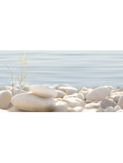 ДЕЛЬ МАРЕ ДЕКОР КАМНИ С ТРАВОЙ ВС9ДМ0634