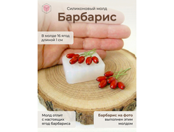 Молд "Барбарис"